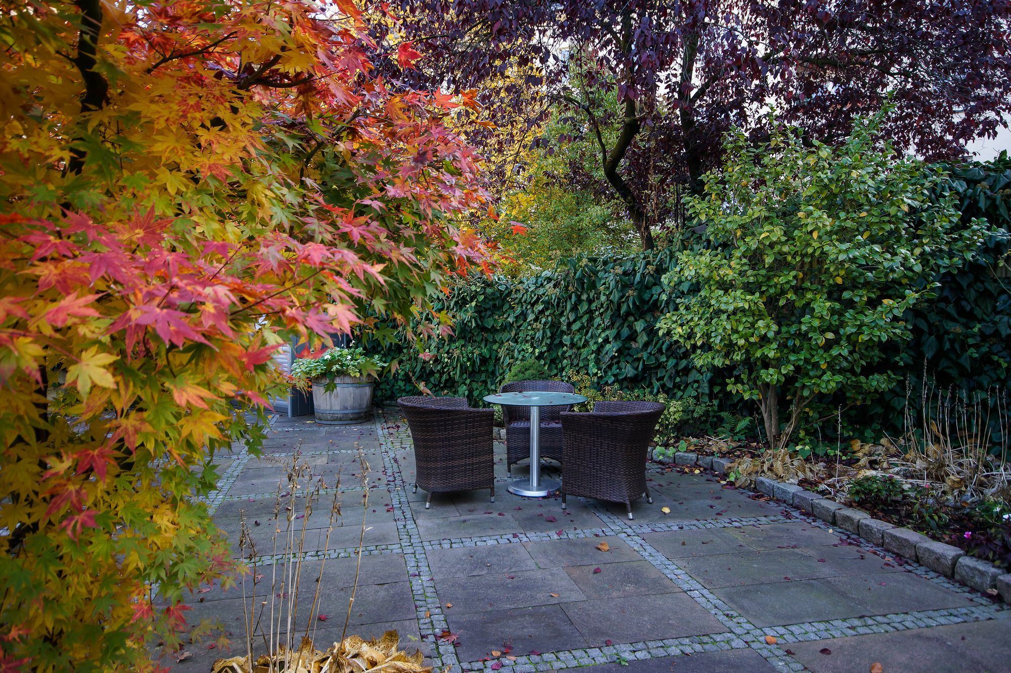 Apartmenthotel Kaiser Karl Bonn Luaran gambar